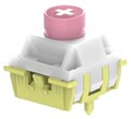 【35個】 Unionwell Polar Pro Switch