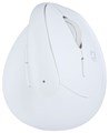 Digio2 MUS-BKF223W ホワイト Bluetoothミニエルゴ静音5ボタンBlueLEDマウス