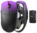 Maya Champion Edition Purple Shadow