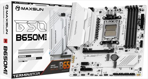 MS-Terminator B650M WIFI ICE