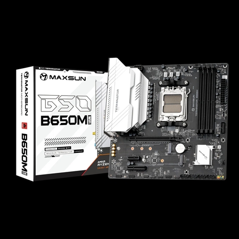 MS-Terminator B650M WIFI6