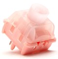 【35個】 WS BigLucky Switch / Clicky ☆1個まで￥250クリックポスト対応可能！