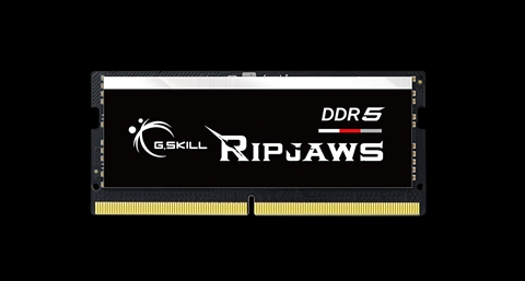 F5-4800S4039A16GX1-RS