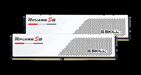 F5-5600J4040C16GX2-RS5W