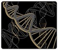 X-raypad Minerva DNA Gold Black XL (490x400x6mm) xr-minerva-dna-gold-black-xl