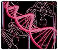 X-raypad Minerva DNA Pink Black XL (490x400x6mm) xr-minerva-dna-pink-black-xl