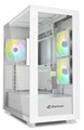 REBEL C60 RGB WT ★送料無料対象品！★