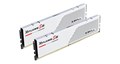F5-5200J4040A48GX2-RS5W