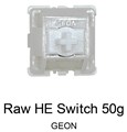 【1個】 GEON Raw HE Switch 50g ☆40個まで￥250クリックポスト対応可能！