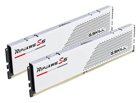 F5-6000J3036F24GX2-RS5W