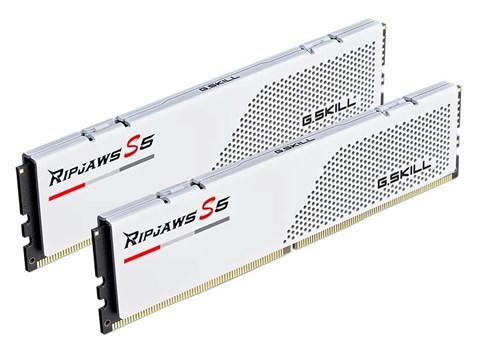 F5-6000J2836G32GX2-RS5W